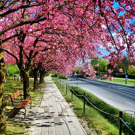 Relax House Apartman