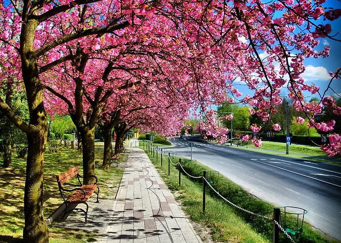 Relax House Lägenhet